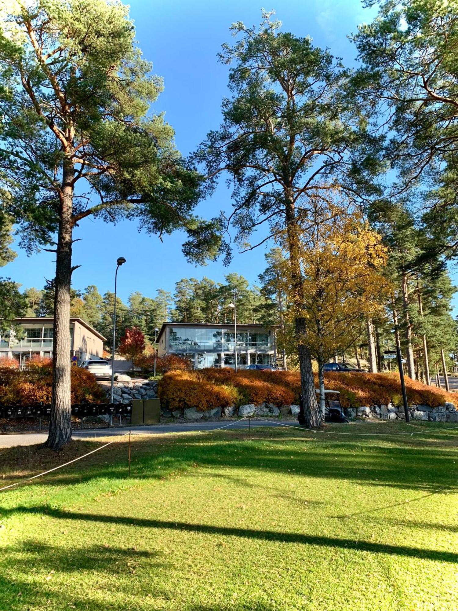 Birdie * Naantali
